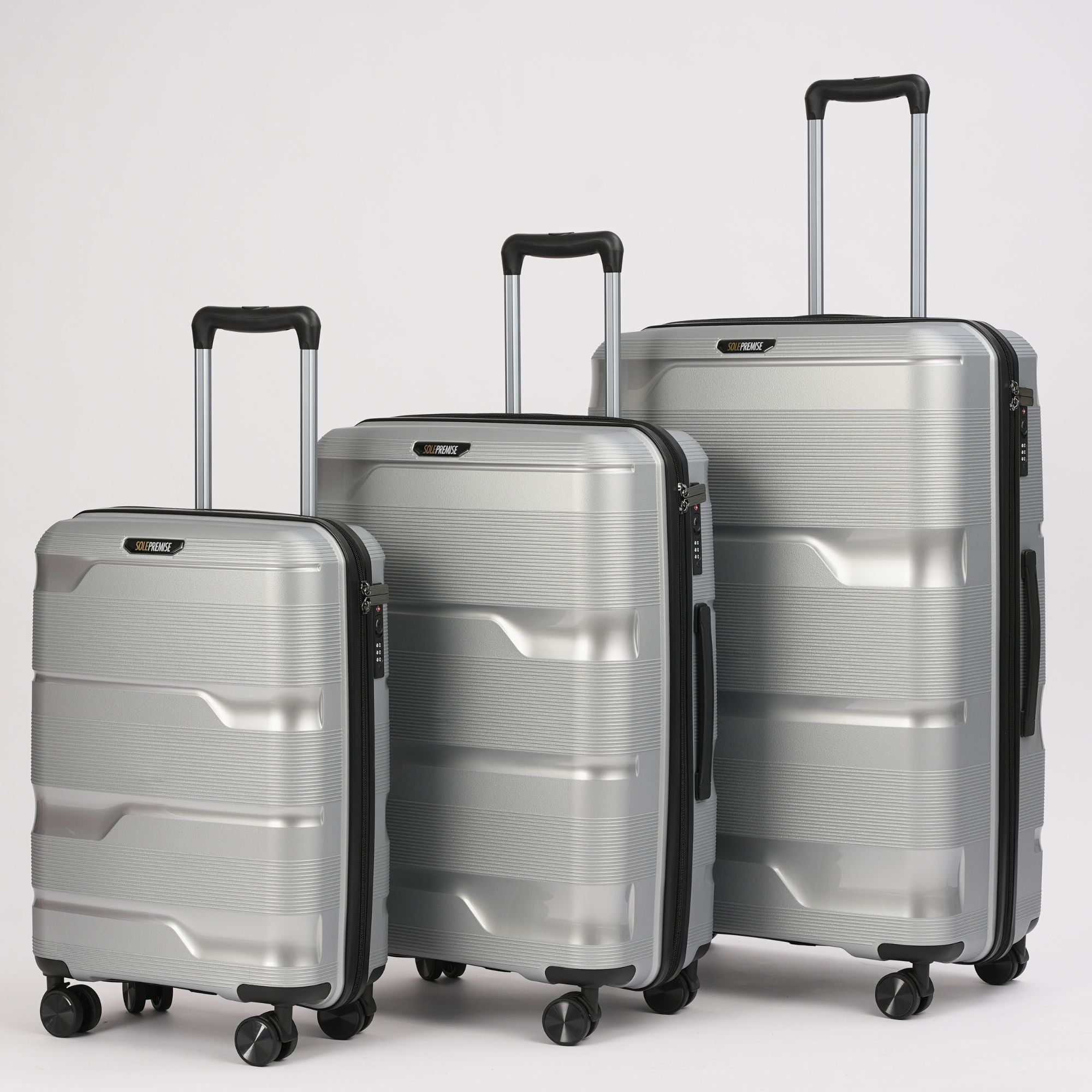 Sole Premise - Sneaker Travel Bags!
