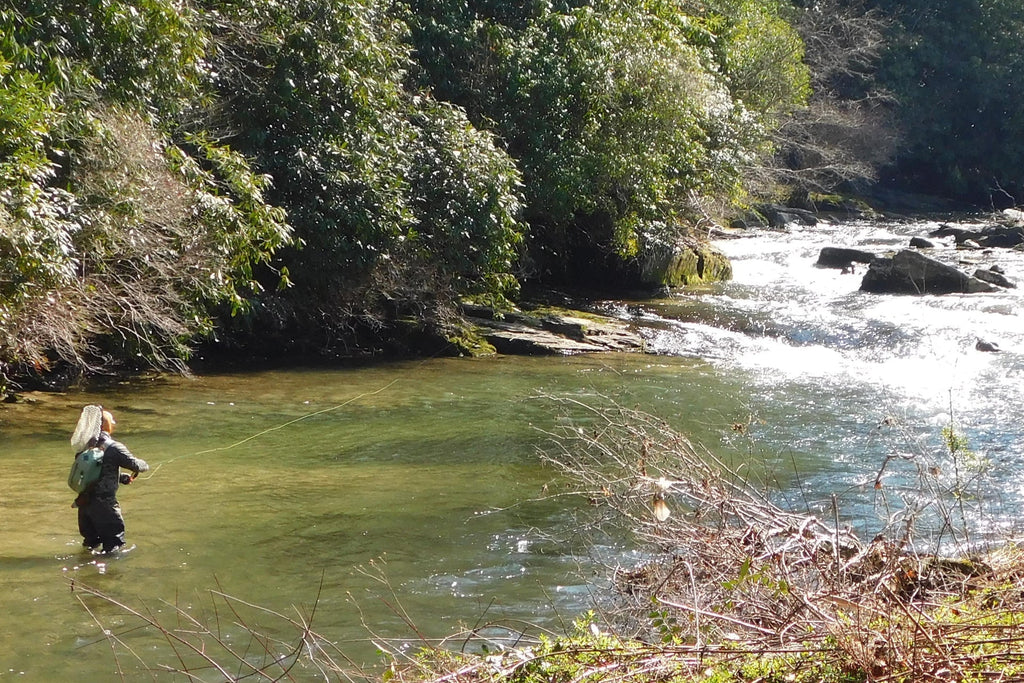 Red-Tailed Black Gnat Classic Dry Fly - 6 Flies Size 18
