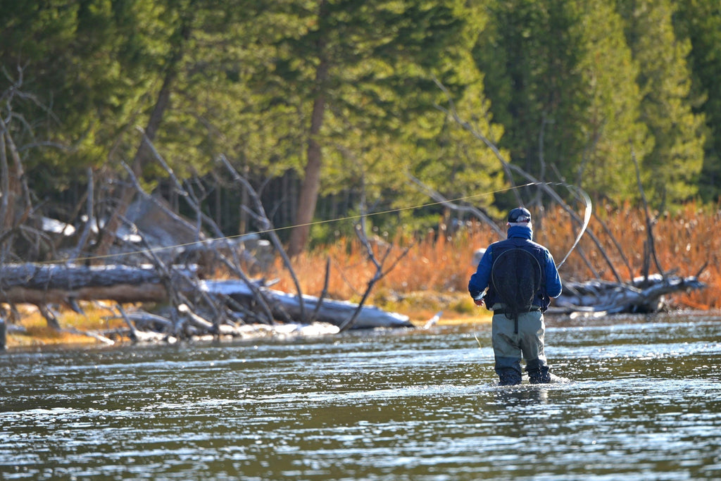 Tungsten Gasolina Perdigon Tactical Jig Euro Nymph 12 Flies Size 18