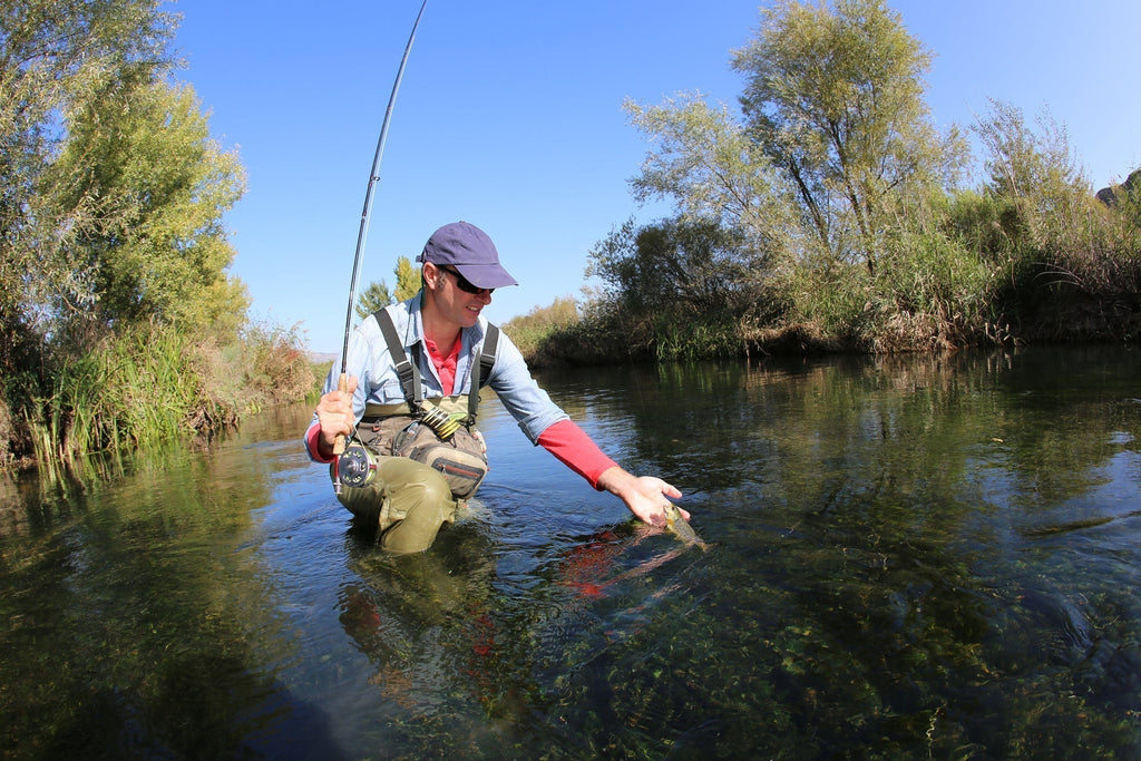 Goddard Caddis Black Dry Fly - 6 Flies Hook Size 16