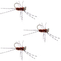 3 Pack Pat's Rubber Legs Tungsten Jigged Brown Euro Nymph Size 6