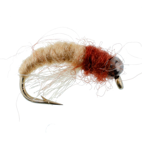 3 Pack Bead Head Tan Brown Caddis Larva Nymph Hook Size 14
