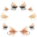 Basics Collection - Elk Hair Caddis Assortment - 10 Flies - Sizes 12-18