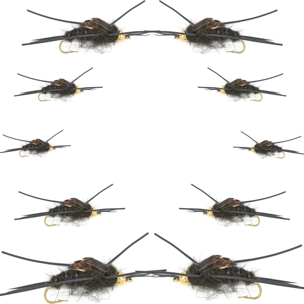 Basics Collection - Kaufmanns Black Stonefly Assortment - 10 Flies #4-12