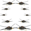 Basics Collection - Kaufmanns Black Stonefly Assortment - 10 Flies #4-12