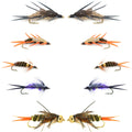 Basics Collection - Double Bead Nymph Assortment - 10 Flies - Size 8