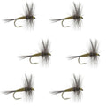 Blue Winged Olive BWO Trout Dry Fly Fishing Flies - 6 Flies Size 14