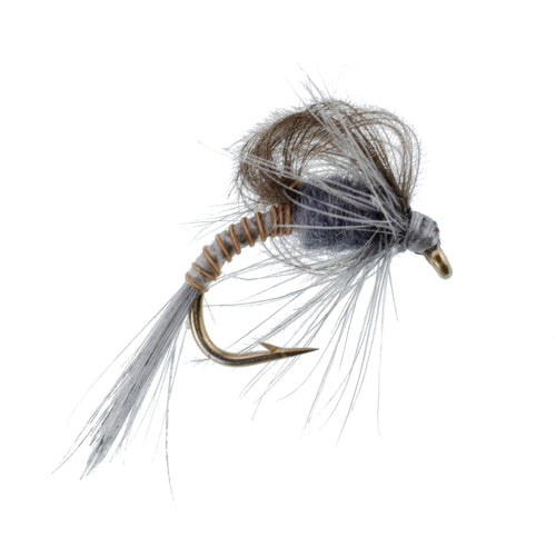 3 Pack CDC Loop Wing Adams Emerger Fly - Hook Size 16