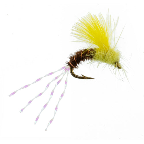 3 Pack CDC Pale Morning Dun Emerger PMD Fishing Flies Size 16