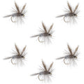 Dark Hendrickson Classic Dry Fly - 6 Flies Size 18