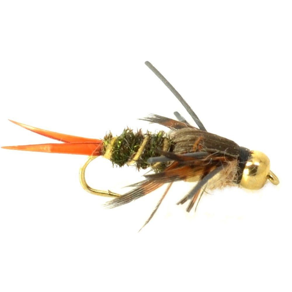 Basics Collection - Double Bead  Nymph Assortment - 10 Flies - Size 10