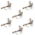 Gray Wulff Classic Trout Dry Fly - 6 Flies Hook Size 8