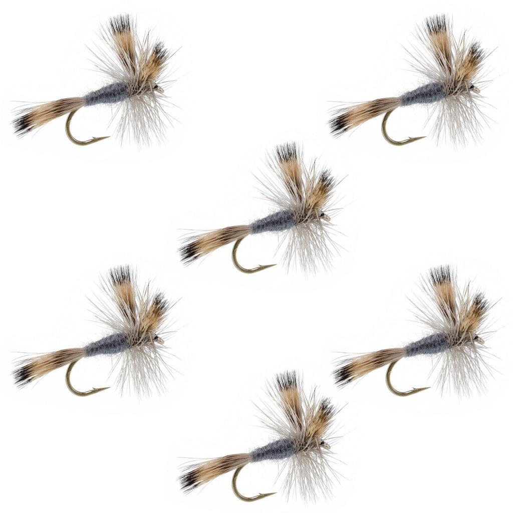 Gray Wulff Classic Trout Dry Fly - 6 Flies Hook Size 10