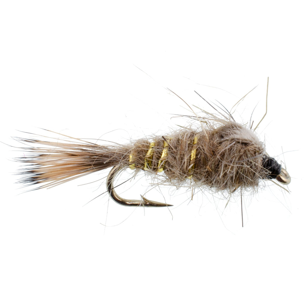 Classic Weighted Gold Ribbed Hares Ear Nymph - Set of 6 Flies - Size 14