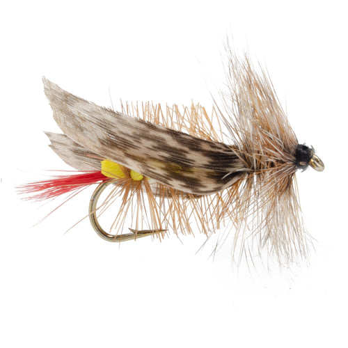 3 Pack Joe's Hopper Yellow Foam Body Grasshopper Fly Hook Size 10
