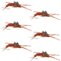Tungsten Bead Kaufmann's Brown Stone Fly with Rubber Legs - Stonefly Wet Fly - 6 Flies Hook Size 6