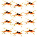 Tungsten Bead Kaufmann's Golden Stone Fly Nymph Rubber Legs - 1 Dozen Hook Size 10