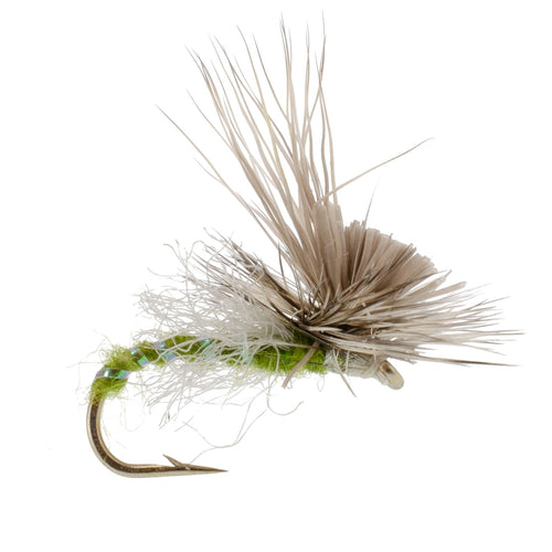 3 Pack Green Drake Missing Link Mayfly Flies Hook Size 10