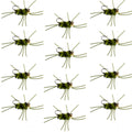 Pat's Rubber Legs Tungsten Jig Black/Olive Euro Nymph 12 Flies Size 10