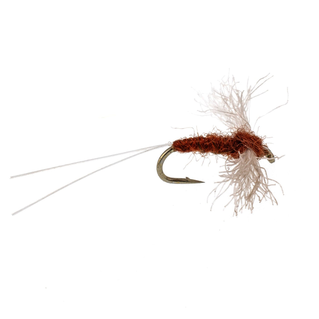 Poly Wing Rusty Spinner Mayfly 6 Flies Hook Size 16