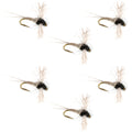 Z-Lon Wing Trico Spinner Kapok Body Hook 6 Flies Size 22