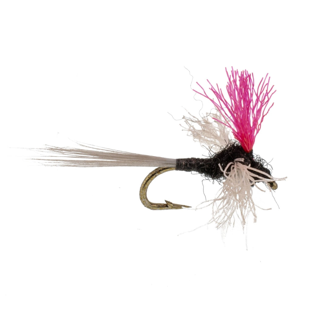 Trico Spinner High Visibility Pink Post 6 Flies Hook Size 22