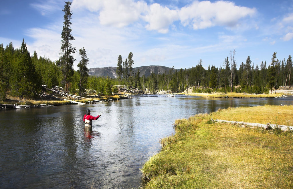 Tungsten Bead Head Nicks Prince Special Nymph Fishing Flies - Set of 6 Flies Hook Size 16