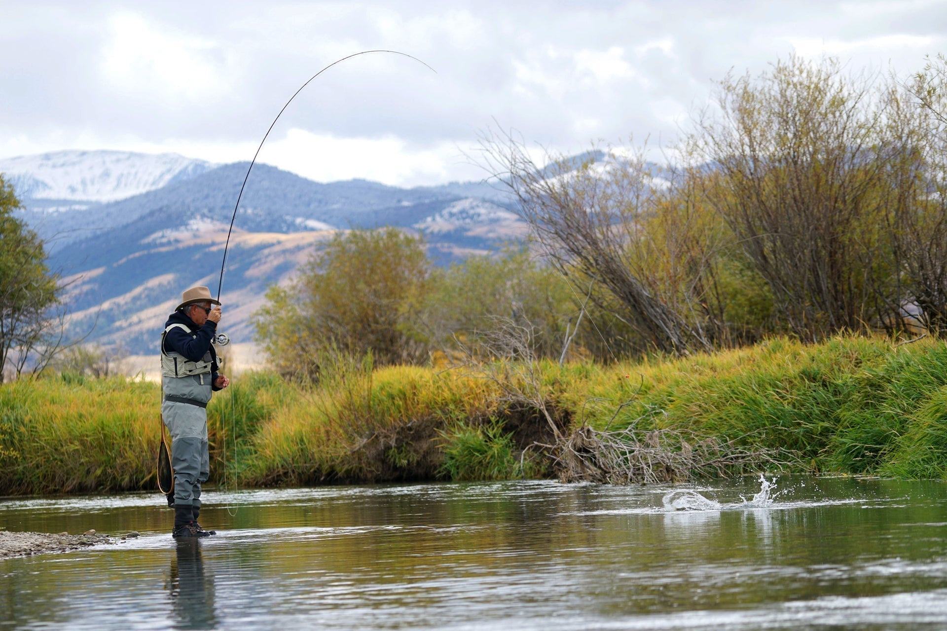Barbless Pats Rubber Legs Tungsten Jig Brown Euro Nymph 12 Flies #6