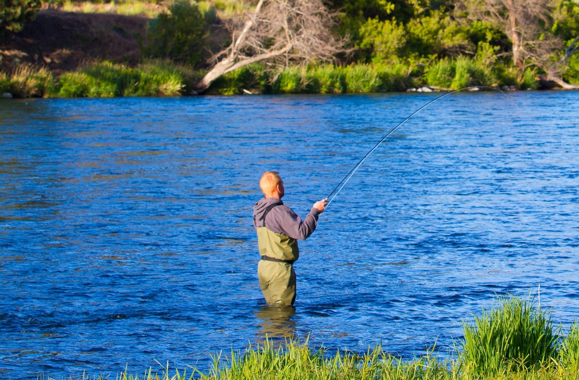 Barbless Pats Rubber Legs Tungsten Coffee/Black Euro Nymph 12 Flies #6