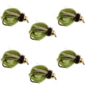 Bead Head LaFontaine Olive Deep Sparkle Caddis Pupa - 6 Flies Hook Size 12