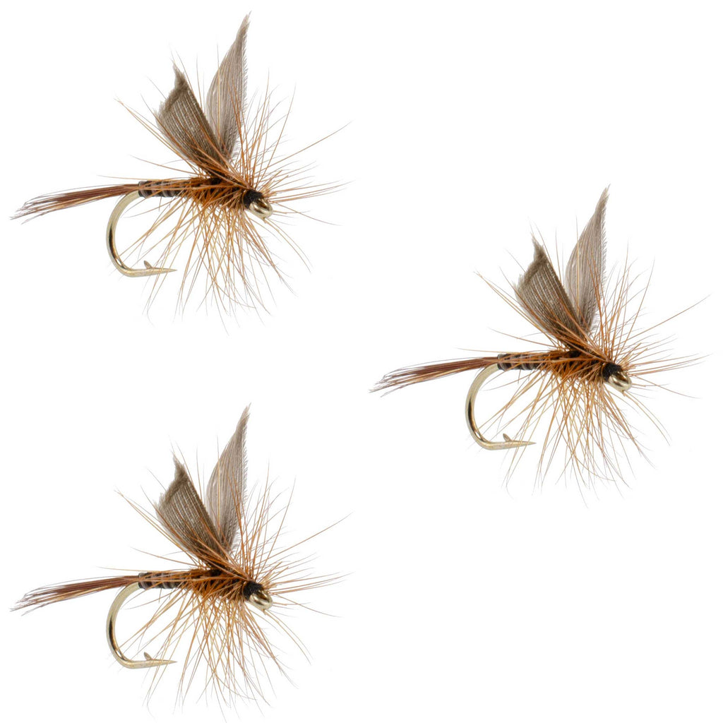3 Pack Red Quill Classic Dry Fly - Size 14