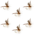 Red Quill Classic Dry Fly - 6 Flies Size 12