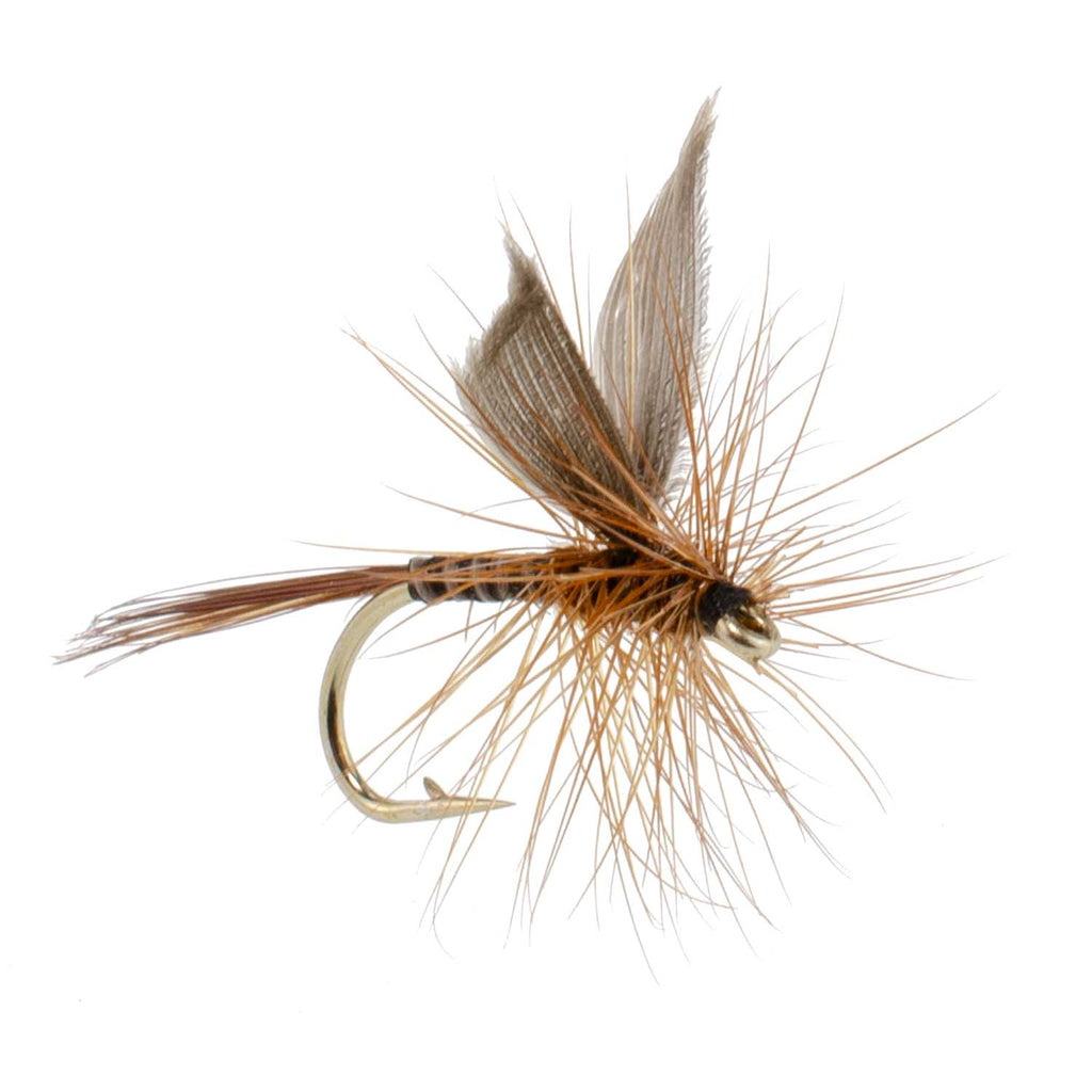 Red Quill Classic Dry Fly - 6 Flies Size 14