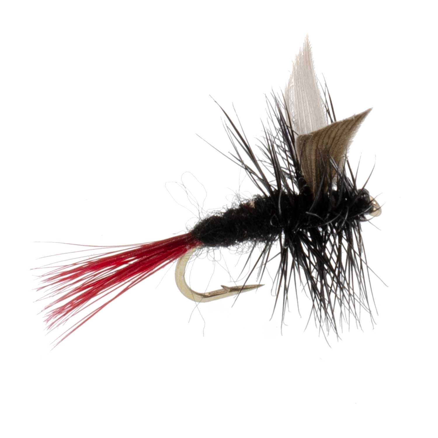 Red-Tailed Black Gnat Classic Dry Fly - 6 Flies Size 16