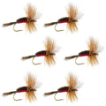 Royal Humpy Classic Hair Wing Dry Fly - 6 Flies Size 16