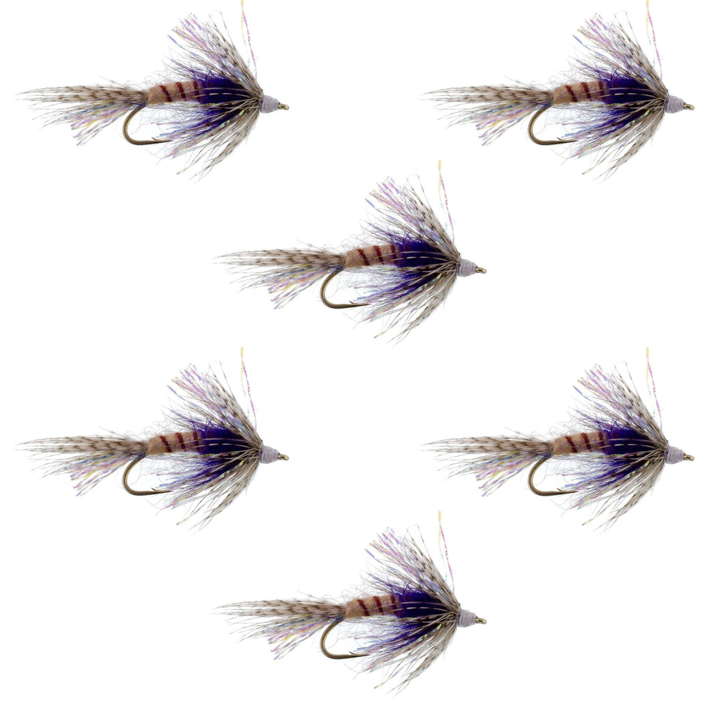 Purple Shakey Bealy Fall Soft Hackle Wet Fly - 6 Flies Hook Size 10