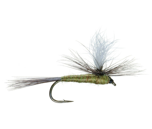 3 Pack Blue Wing Olive BWO Parachute Dry Fly - Hook Size 20
