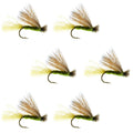 Barbless Olive X Caddis Emerging Caddis Adult Fly - 6 Flies Size 18